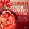 December 16: A Special Christmas Delivery – An Erotic Christmas Calendar - Sarah Schmidt - 9788726760286