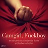 Camgirl, Fuckboy en andere opwindende korte erotische verhalen - Lisa Vild ; B. J. Hermansson ; Malin Edholm ; Fabien Dumaître - 9788728183595