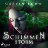 Schimmenstorm - Garvin Pouw - 9788728304471