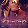 Spicy ontmoetingen: een verzameling van erotische korte verhalen - LUST authors - 9788728467398