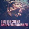 Een geschenk onder vriendinnen: 10 erotische korte verhalen voor een sexy avond - LUST authors - 9788728488263