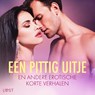Een pittig uitje en andere erotische korte verhalen - LUST authors - 9788728552575