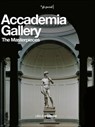 Accademia Gallery - Franca Falletti - 9788809807761