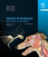 Atlante di anatomia del cane e del gatto - Stanley H. Done ; Peter C. Goody ; Susan A. Evans ; Neil C. Stickland - 9788821433832