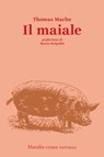 Il maiale - Thomas Macho ; Marco Belpoliti - 9788829700882