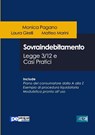 Sovraindebitamento. Legge 3/12 e casi pratici - Monica Pagano ; Laura Girelli ; Matteo Marini - 9788833000770