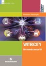 Witricity - Domenico Trisciuoglio - 9788848136051
