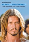 Non so come amarlo - Stefano Fenaroli - 9788851430429