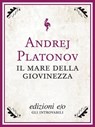 Il mare della giovinezza - Andrej Platonov - 9788866321071