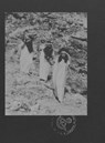Le Nemesiache: Reclaiming Mythological Rituals - Sonia D'Alto - 9788867497003