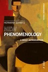 New Phenomenology - Hermann Schmitz - 9788869772184