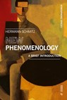 New Phenomenology - Hermann Schmitz - 9788869772900