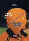 Brilliant Orange - David Winner - 9788875218621