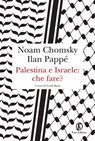 Palestina e Israele: che fare? - Noam Chomsky ; Ilan Pappé - 9788876258343