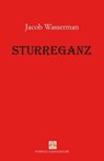 Sturreganz - Jakob Wassermann - 9788895833057