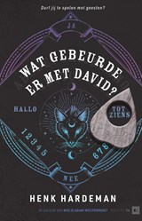 Wat gebeurde er met David?, Henk Hardeman -  - 9789000383481