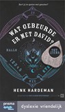 Wat gebeurde er met David? - Henk Hardeman - 9789000383504