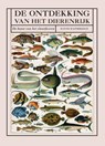 De ontdekking van het dierenrijk - David BainBridge - 9789002269257