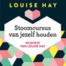 Stoomcursus van jezelf houden - Louise Hay - 9789020213348
