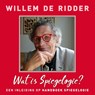 Wat is Spiegelogie - Willem de Ridder - 9789020213720