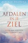 Afdalen in je ziel - Alberto Villoldo - 9789020284775