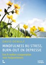 Mindfulness bij stress, burn-out en depressie - David Dewulf - 9789020915297