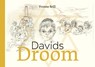 Davids droom - Yvonne Brill - 9789023257592