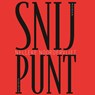 Snijpunt - Nelleke Noordervliet - 9789025454456