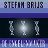De engelenmaker - Stefan Brijs - 9789025469993
