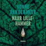 Naar Lillehammer - Vonne van der Meer - 9789025471125