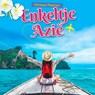 Enkeltje Azië - Danique Plaatzer - 9789025883034