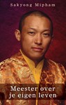 Meester over je eigen leven - Sakyong Mipham - 9789025904104