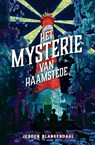 Het mysterie van Haamstede - Jeroen Blankendaal - 9789026173202