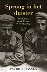 Sprong in het duister - Patrick Dassen - 9789028222137