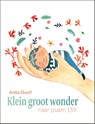 Klein groot wonder - Anita Stoof - 9789033835889