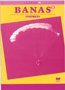 Banas 2 Havo-vwo Werkboek katern 2 - J.L.M. Crommentuyn ; E. Wisgerhof ; A.J. Zwarteveen - 9789041504128