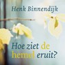 Hoe ziet de hemel eruit? - Henk Binnendijk - 9789043535069