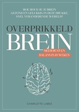 Overprikkeld brein, Charlotte Labee -  - 9789043924887