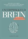 Overprikkeld brein - Charlotte Labee - 9789043924887