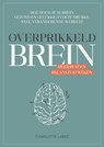 Overprikkeld Brein - Charlotte Labee - 9789043924894