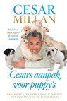 Cesars aanpak voor puppy's - Cesar Millan - 9789044334029