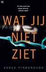 Wat jij niet ziet - Sarah Pinborough - 9789044350579