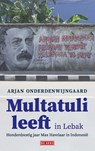 Multatuli leeft in Lebak - Arjan Onderdenwijngaard - 9789044543759