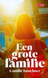Een grote familie - Camille Kouchner - 9789044545487