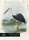 Vogelscheurkalender - Kester Freriks ; Sander Blom - 9789045026107