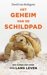 Het geheim van de schildpad - David van Bodegom - 9789045038940