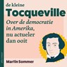 De kleine Tocqueville - Martin Sommer - 9789045039473
