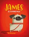 James is z'n mens kwijt - Rob Biddulph - 9789045326399