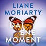 Dat ene moment - Liane Moriarty - 9789046180211