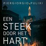 Een steek door het hart - Piergiorgio Pulixi - 9789046180440